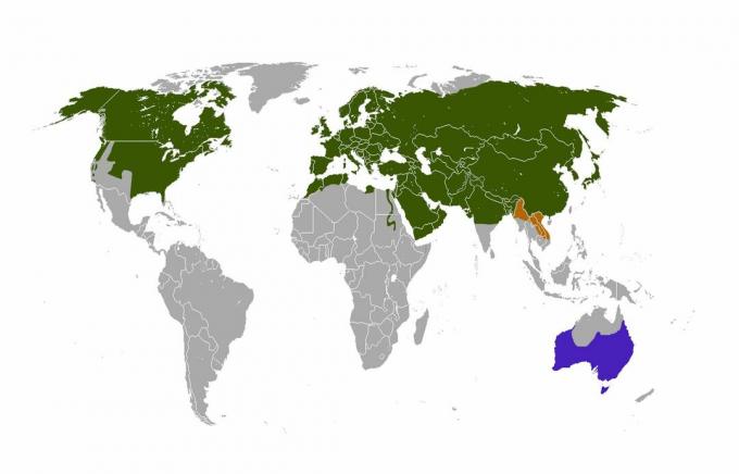 Distribuție de vulpe roșie