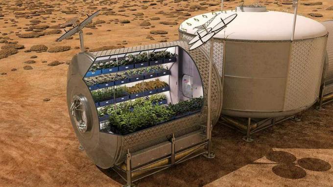 producția de alimente pe Marte în viitor.