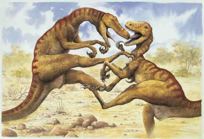 Profilul lateral al doi utahraptors care luptă