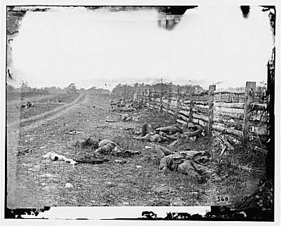 Dead Confederates la Antietam