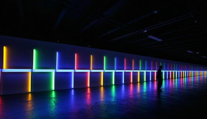 dan flavin to Saskia