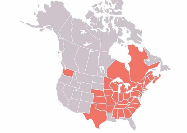 Distribuția sindromului nasului alb în America de Nord în 2018.