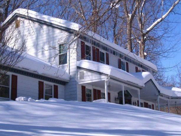 Colonialul alb al unui proprietar se pierde în zăpada albă