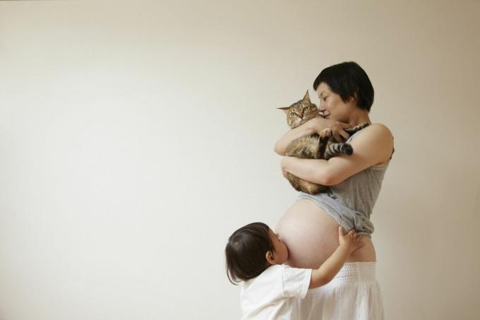 O femeie însărcinată cu o pisică