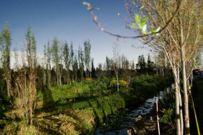 Scena de câmp Chinampa, Xochimilco