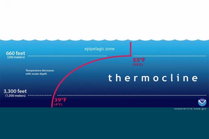 thermocline