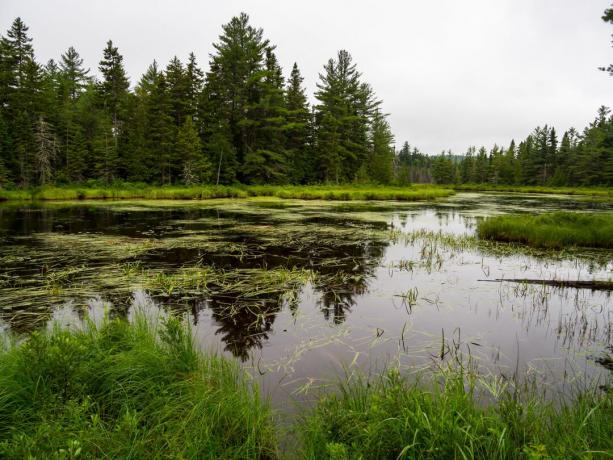 Monumentul național al pădurilor și apelor Katahdin