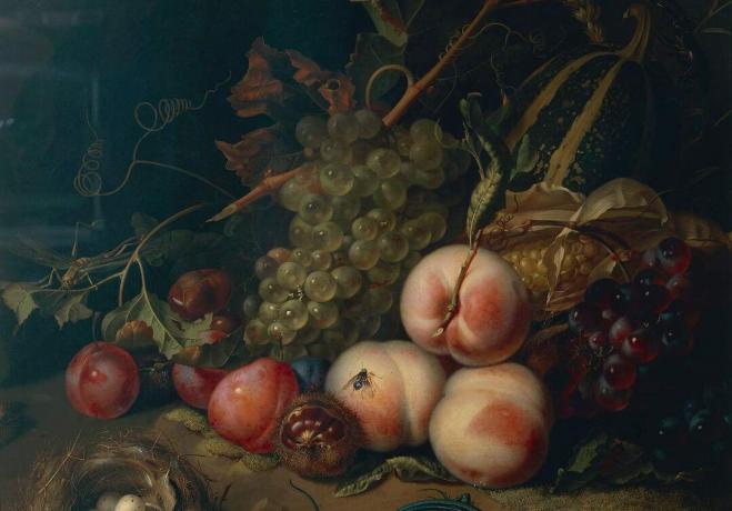 Comp Save to Board Italia, Florența, Natura moartă cu fructe și insecte de Rachel Ruysch, 1711, ulei pe pânză, detaliu