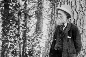 Fotografie a lui John Muir în pădure