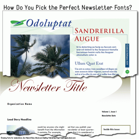 Exemplu de șabloane de buletin informativ cu fonturi