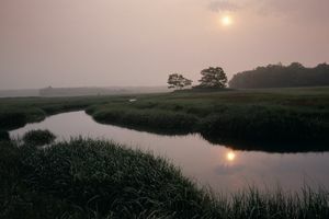 amenajarea naturii faunei sălbatice