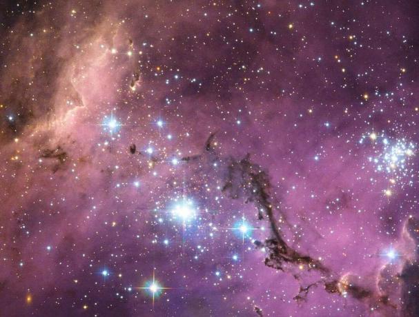 O porțiune din Marele Magellanic, care prezintă numeroasele sale grupuri și benzile de gaz și praf așezate pe fundalul nebuloasei.