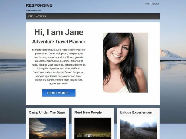 Tema Responsive WordPress