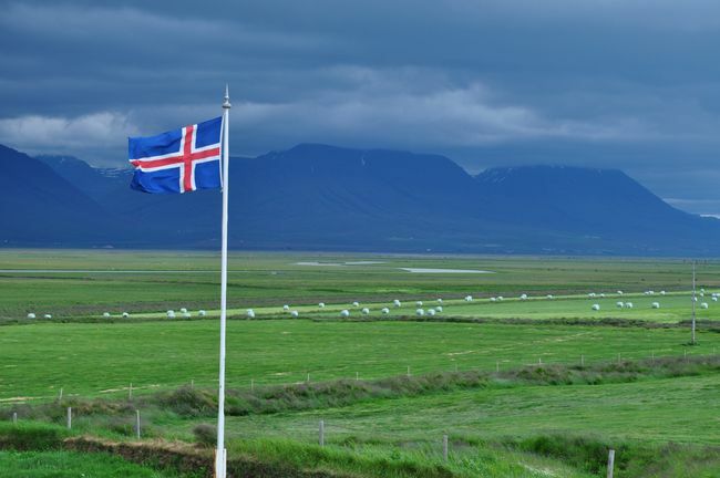 Steagul islandez