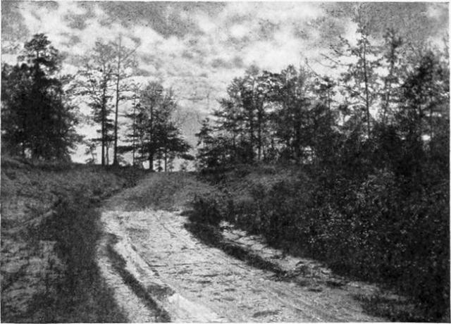 Locul unde a fost capturat Aaron Burr, lângă Wakefield, Alabama.