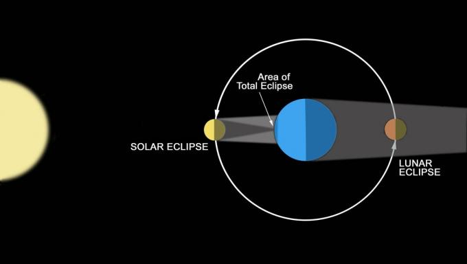 O diagramă care ilustrează modul în care sunt create eclipsele.