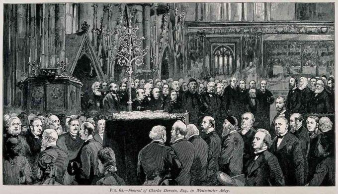 Ceremonia funerară a lui Charles Darwin la Westminster Abbey, aprilie 1882