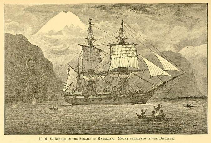 H.M.S. Beagle în strâmtoarea Magellanului