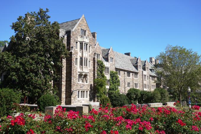 Universitatea Princeton