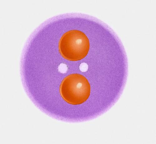 Meson Pi-plus, un tip de hadron, care prezintă quarks (în portocaliu) și gluoni (în alb)