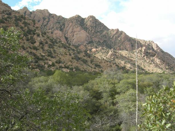 Corench's Eastern Stronghold, Dragoon Mountains, Southeastern Arizona.