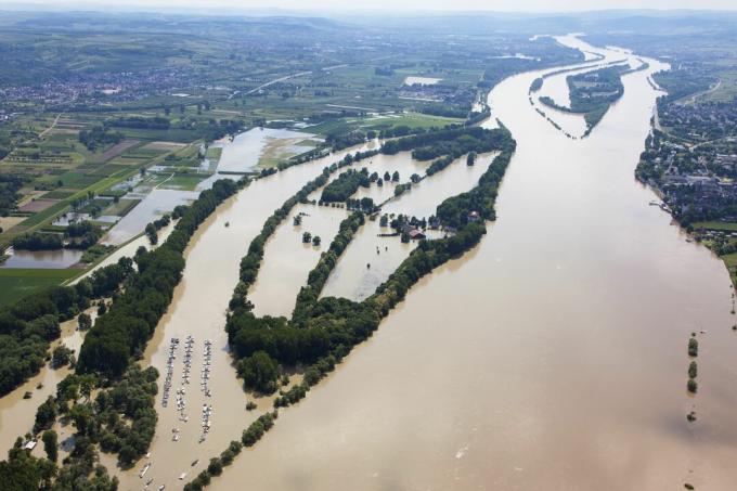 Germania, Hesse, Eltville, Inundarea insulei Rinului Rin Koenigskling Aue, fotografie aeriană