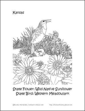 Pagina de colorat de flori de pasăre și de stat din Kansas