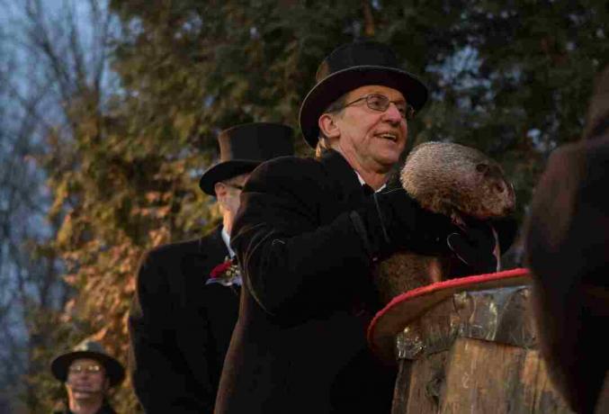 Ziua prăjitului din Punxsutawney, Pennsylvania