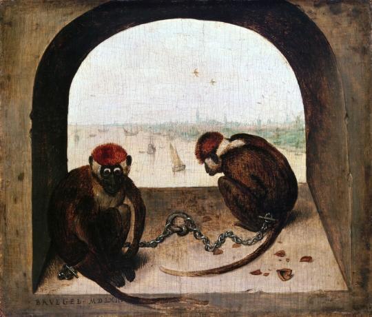 Două maimuțe înlănțuite stau într-o fereastră arcuită cu vedere la un port cu bărci cu pânze
